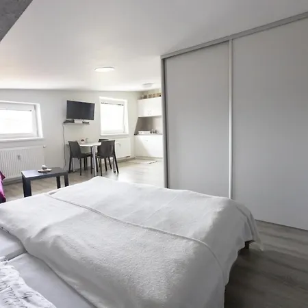 Theo 民宿 Veľký Slavkov